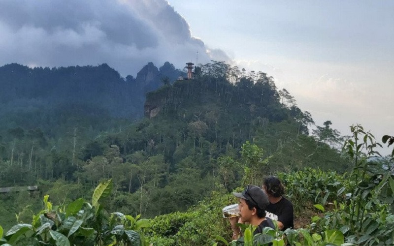 Pemkab Kulonprogo Hapus Pajak Restoran dan Hiburan selama 6 Bulan
