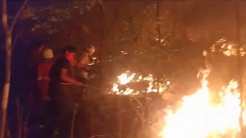 10 Hektare Hutan Jati Perhutani di Bojonegoro Ludes Dilahap Api