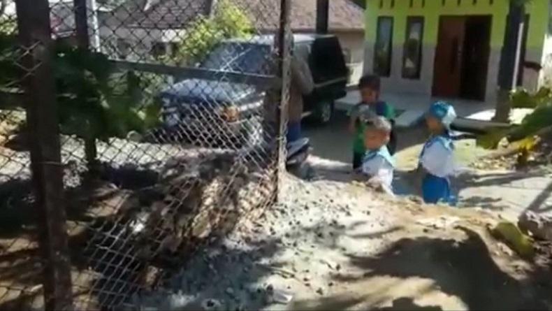 Ketahuan Akan Makan Ayam, Ular Piton 4,5 Meter di Pasuruan Ditangkap Warga