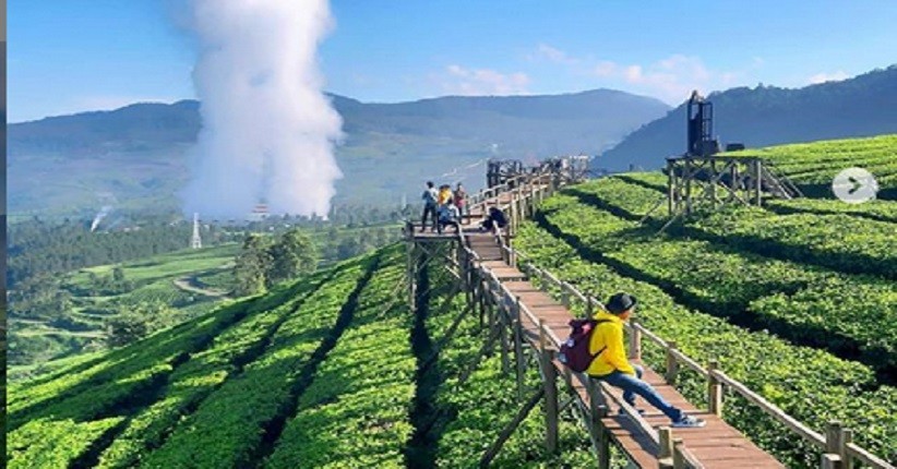 Tempat Wisata Baru di Bandung, Kebun Teh Wayang Windu Panenjoan Lagi Hits