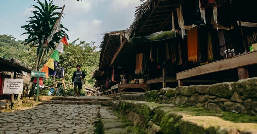 Ini Daun Sakti yang Bikin Suku Baduy Kuat Berjalan Kaki Ratusan Kilometer, Pernah Coba?