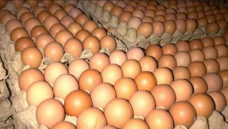 Harga Telur Anjlok, Kementan Cari Cara Serap Suplai di Pasar