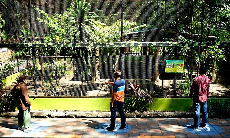 Kebun Binatang Surabaya Mulai Buka Senin Besok, Ini Aturan untuk Pengunjung