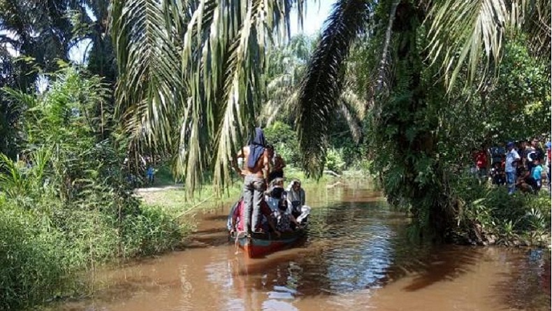 Petani di Labura Hilang Dimangsa Buaya di Depan Istri dan Anak