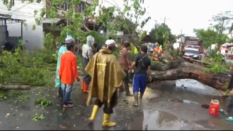 Hujan Deras dan Angin Kencang di Medan, Pohon Besar Tumbang dan Menutup Jalan