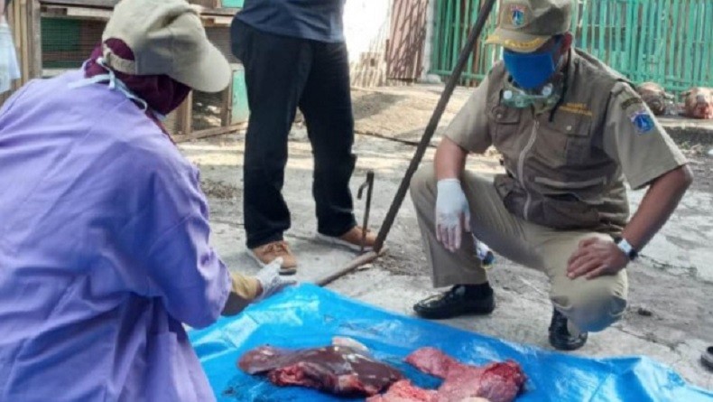 Puluhan Kilogram Organ Hewan Kurban Tak Layak Konsumsi Ditemukan di Jakarta Utara