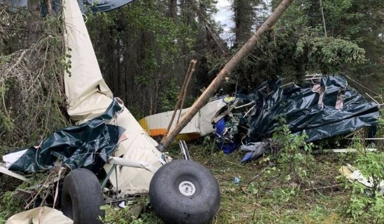 Pesawat Bertabrakan di Udara Tewaskan 7 Orang, Salah Satunya Anggota Parlemen AS