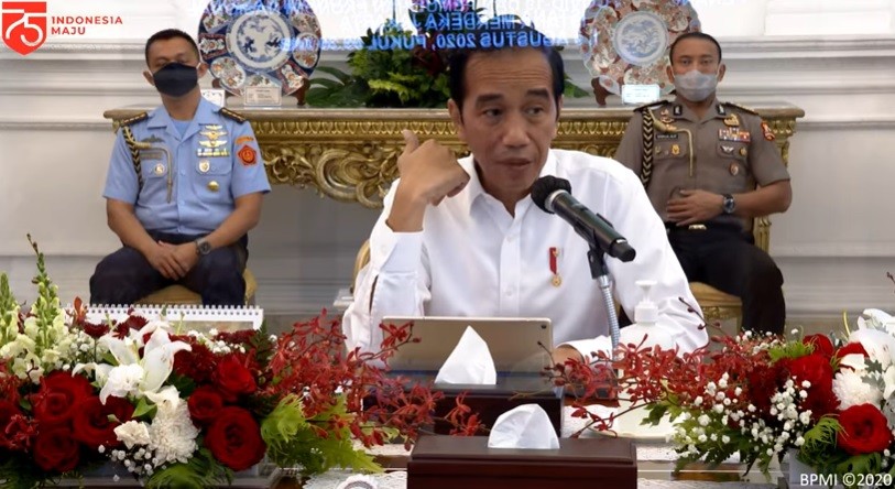 Jokowi Minta Istri Mendagri Tito Karnavian Kampanye Protokol Kesehatan