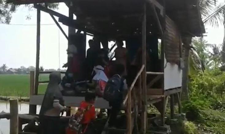 Tak Punya HP, Murid SD di Subang Belajar di Area Persawahan