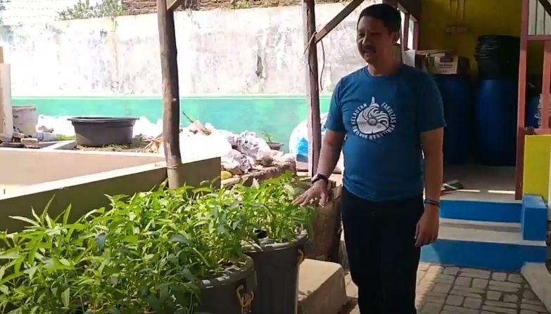 Budidaya Ikan dan Tanaman Hidroponik Digandrungi selama Masa Pandemi Covid-19