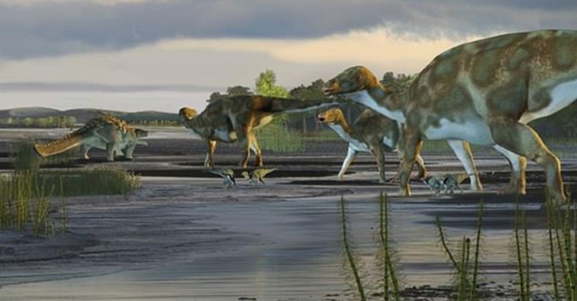 Dinosaurus Hadrosaurus Punya Adaptasi Tulang yang Unik