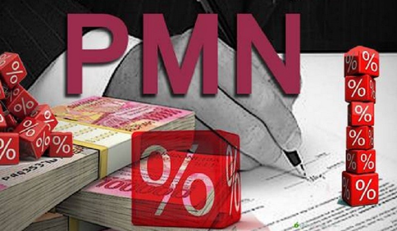 PMN untuk 5 BUMN Baru Cair September