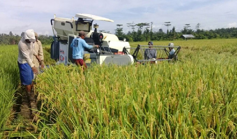 Bangun Food Estate, Kementerian PUPR Dapat Lebihan Anggaran