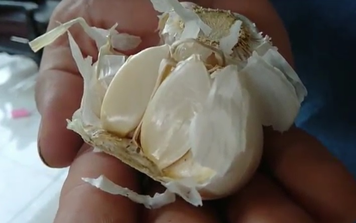 Ini Manfaat Konsumsi Bawang Putih untuk Kesehatan di Masa Pandemi 
