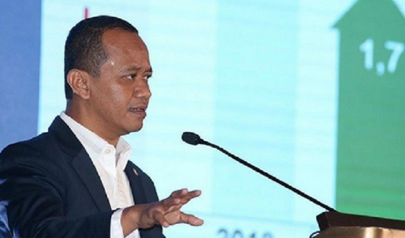Pemerintah Dorong Maluku sebagai Lumbung Ikan Nasional
