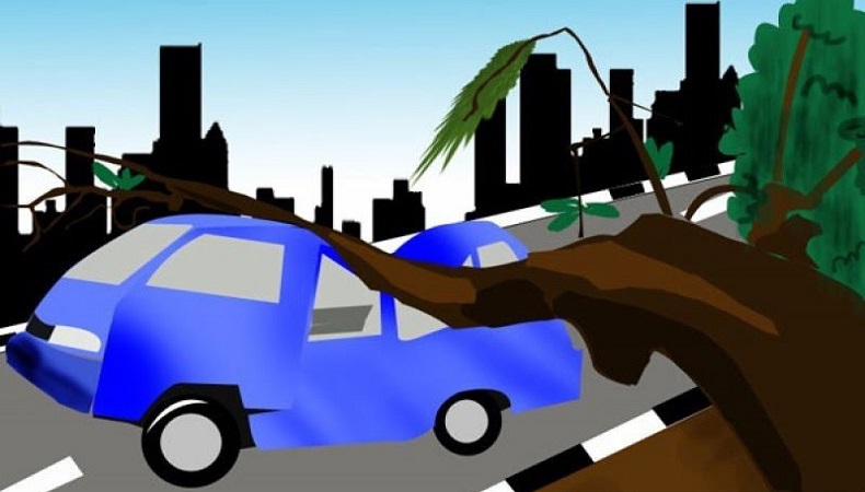Pohon Tumbang di Medan Denai Timpa Pengguna Jalan, 2 Warga Luka Berat
