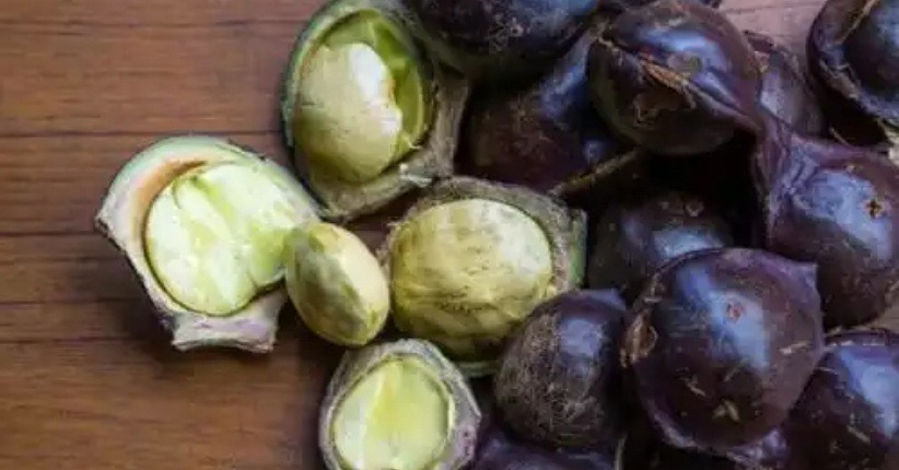 3 Cara Masak Jengkol agar Tidak Bau dan Empuk
