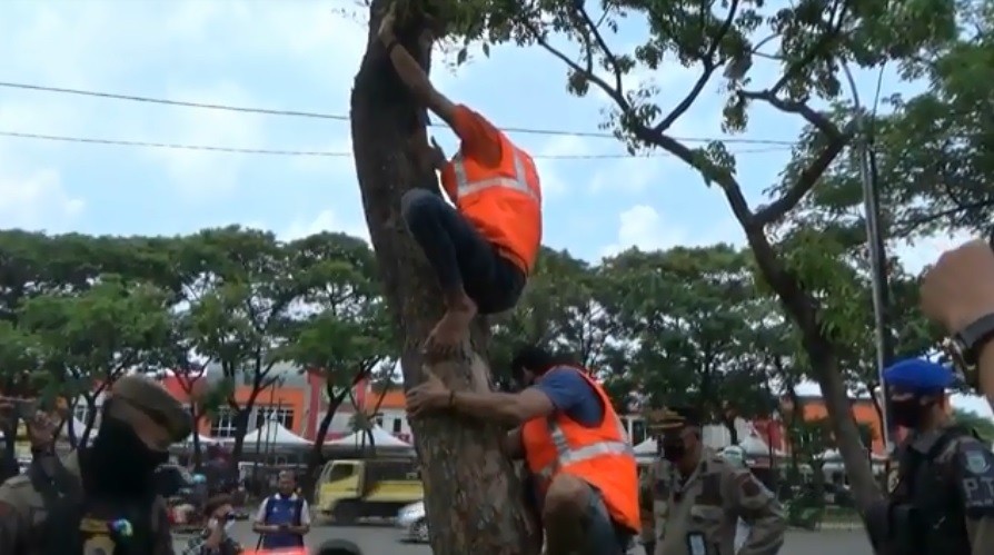 Razia Protokol Covid-19 di Tangsel, Pelanggar Kena Sanksi Peluk dan Panjat Pohon