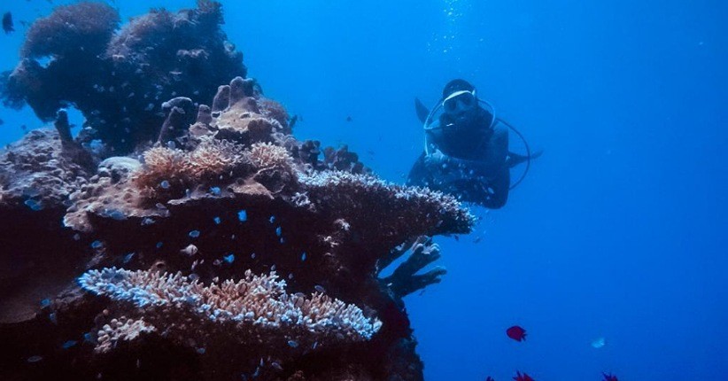 Archipelago dan Marine Tourism Potensial Jadi Pariwisata Berkelanjutan