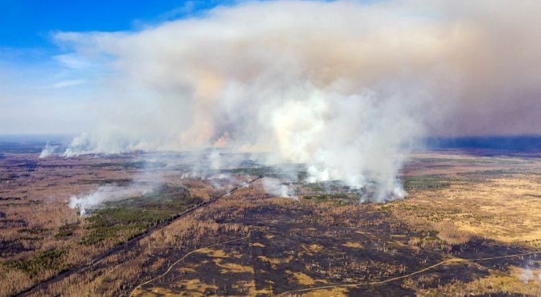 Kebakaran Hutan di Ukraina Tewaskan 4 Orang, Kelompok Separatis Dituduh Picu Api