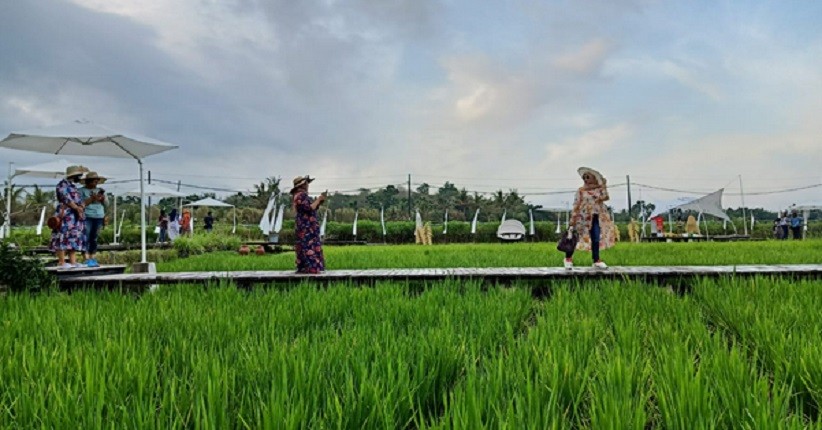 Svargabumi Magelang, Destinasi Instagramable di Tengah Sawah Berlatar Borobudur