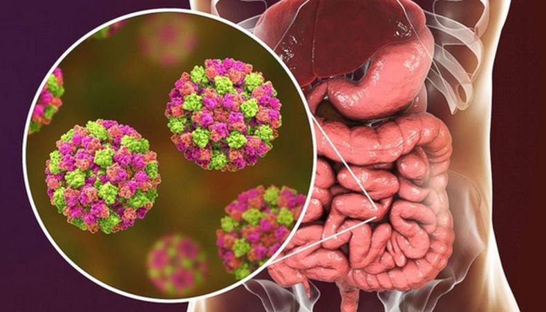 China Diserang Norovirus saat Pandemi Covid-19, Wabah Apa Itu?