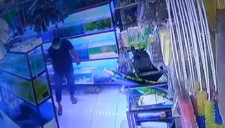 Aksi Pencurian Terekam CCTV, Pelaku Masukkan Ikan Lohan ke Kantong Celana