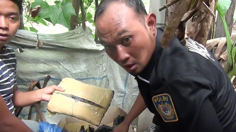Sembunyikan Ganja 30 Kg, Ibu dan Anak di Madina Ditangkap saat Tidur