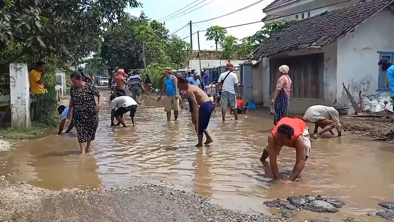 Protes, Warga Jember Tebar Ikan Lele di Kubangan Air Jalan Rusak
