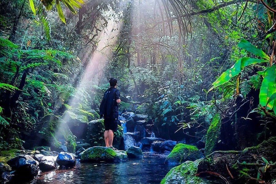5 Tempat Wisata di Bogor Terpopuler, Nomor 3 Bisa Lihat Binatang Buas
