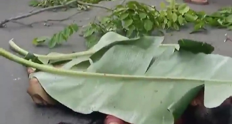 Jasad Pria Penuh Luka Tusuk Ditemukan di Waduk Cincin Jakut