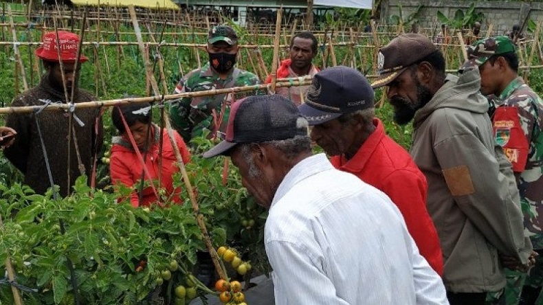 Prajurit TNI Diminta Berikan Motivasi Warga Bertani Sayur di Jayawijaya