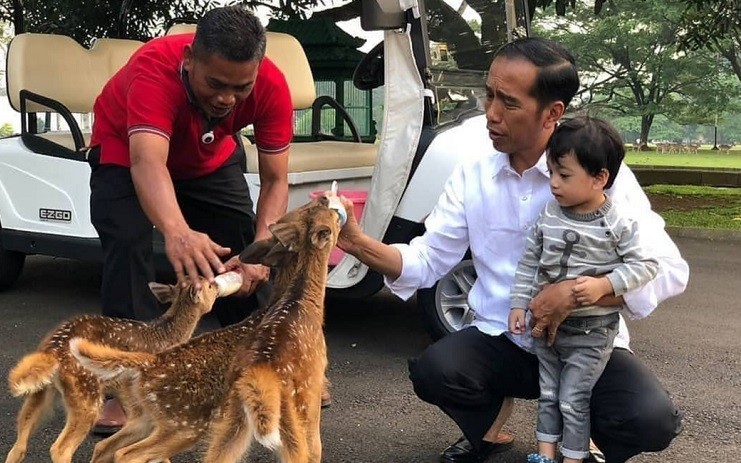 Jokowi Ajak Cucu Susui Bayi Rusa, Netizen: Sehat Selalu Presidenku