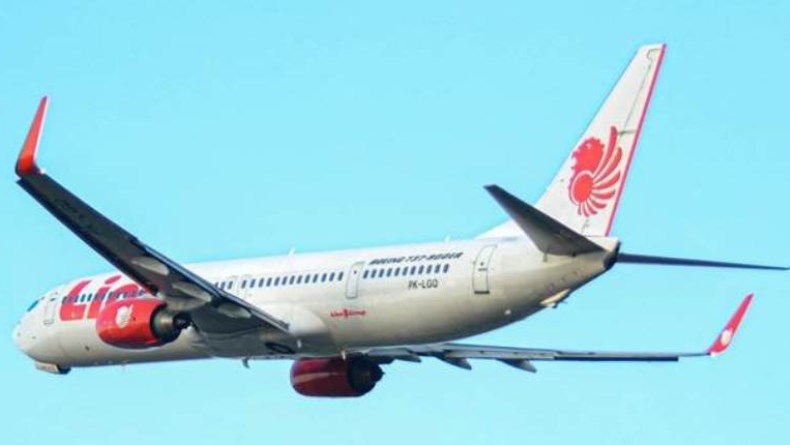 Wakil Bupati Kepulauan Sangihe Helmud Hontong Meninggal di Pesawat, Ini Keterangan Lion Air