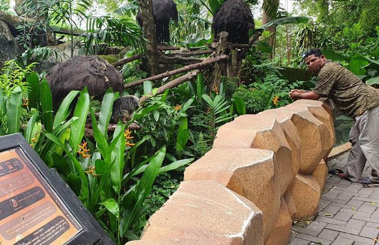 Cegah Penularan Covid-19, Gembiraloka Zoo Lakukan Pembatasan Pengunjung 