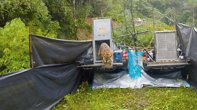 Rawan Konflik dengan Hewan, Pemkab Agam Diminta Buat Perda Satwa