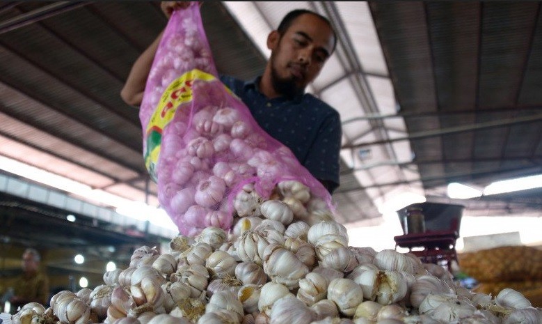 Terkait Impor, Pengusaha Minta KPPU Turun Tangan Stabilkan Harga Bawang Putih