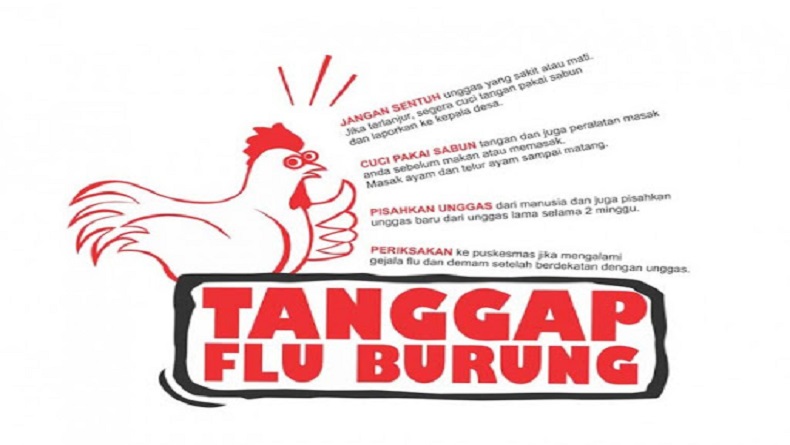Covid-19 Belum Pergi Kini Datang Flu Burung, Ratusan Unggas di KBB Mati