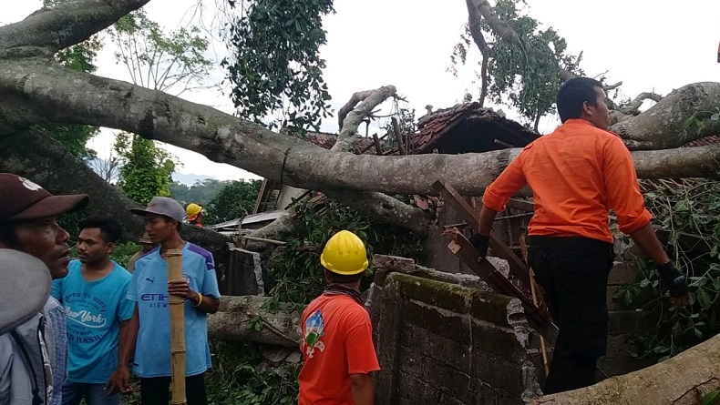 Angin Kencang Terjang Lombok Timur, 12 Rumah Rusak