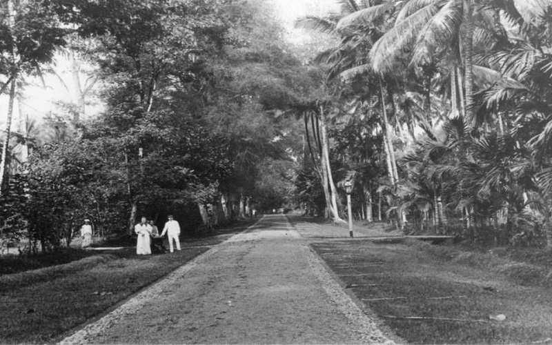 Kilas Balik Pembangunan Jalan Raya Payakumbuh Tahun 1890, Gerbang Ekonomi Baru Sumatera Barat