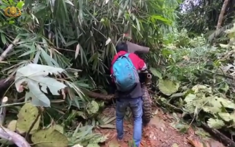 Diadang Pohon Tumbang hingga Jembatan Tua, Ini Cerita Petugas Kirim Logistik Pilkada