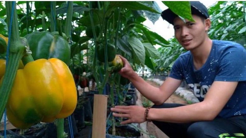 Ridwan Kamil Perkenalkan Petani Milenial di Jabar, Penghasilannya Rp20 Juta per Bulan