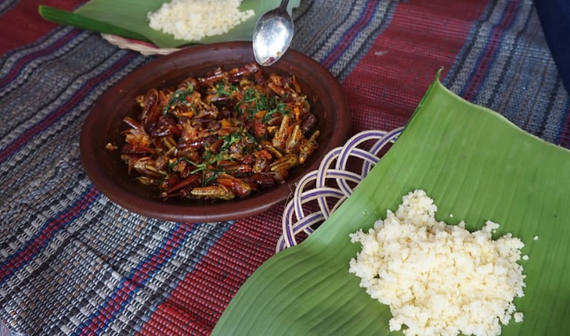 Belalang Sambel di Mojokerto Diburu Pencinta Kuliner, Ini Manfaatnya Bagi Tubuh 