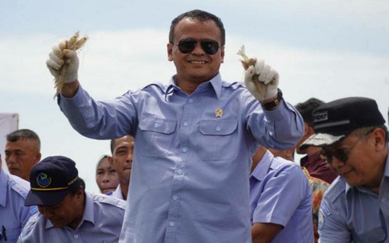 Edhy Prabowo dan Istri Bakal Jadi Saksi di Sidang Suap Ekspor Benih Lobster Hari Ini