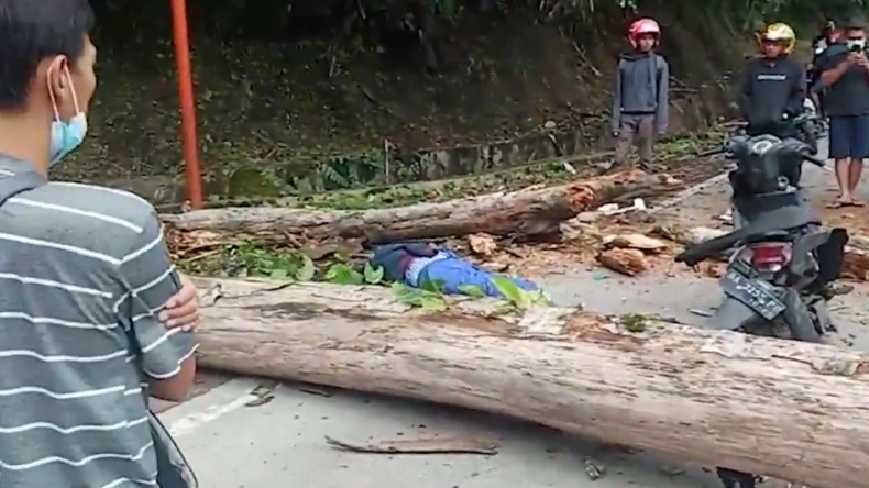 Asyik Kendarai Motor, Mahasiswa di Padang Tewas Tertimpa Pohon