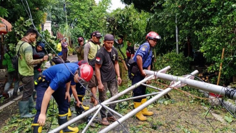 Pohon Tumbang di Menteng Timpa Rambu Lalu Lintas dan Kabel Listrik