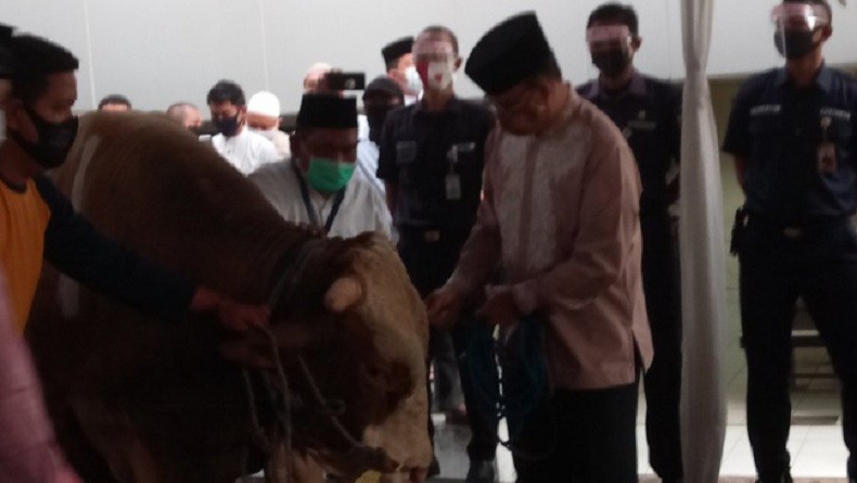 Anies Baswedan dan Riza Patria Serahkan 2 Sapi Limosin di Masjid Fatahillah