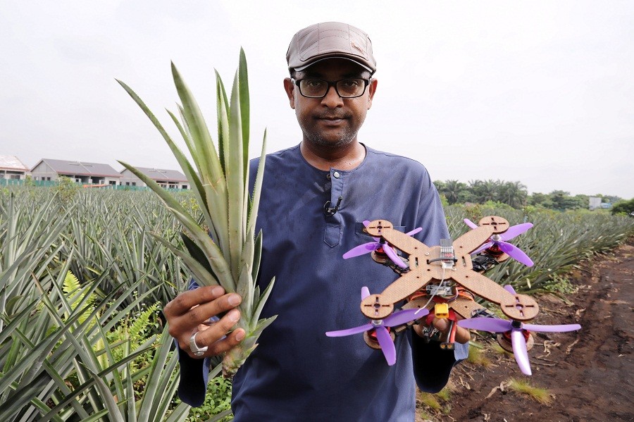 Keren! Ilmuwan Malaysia Ubah Daun Nanas Jadi Kerangka Drone