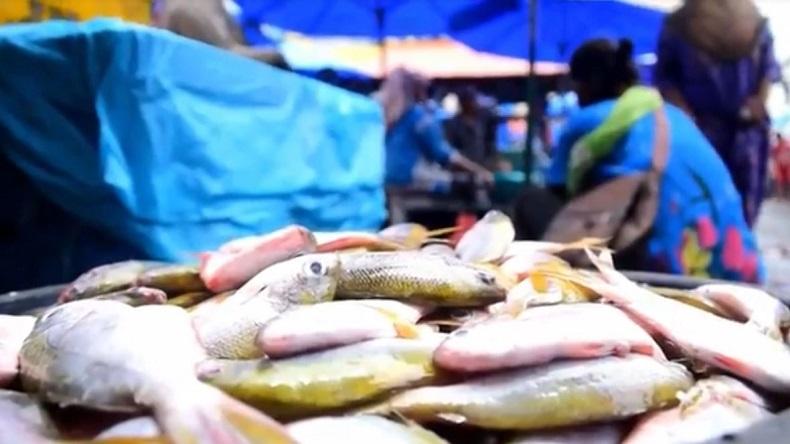  Harga Ikan Laut di Pasar Tradisional KBB Melambung, Warga Enggan Beli