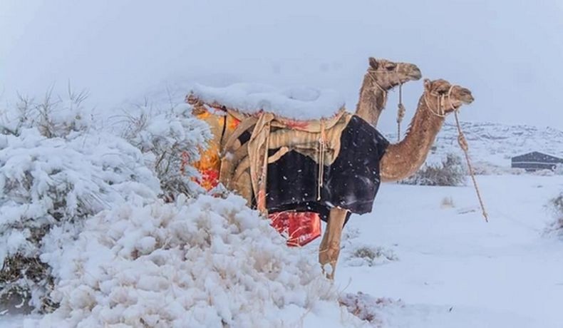 Gurun Sahara hingga Padang Pasir di Arab Saudi Diselimuti Salju, Fenomena Apa?